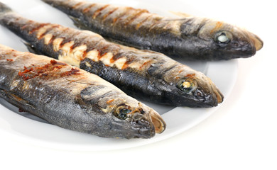 Delicious grilled fish on plate on table close-up