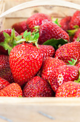 Strawberries in a basket