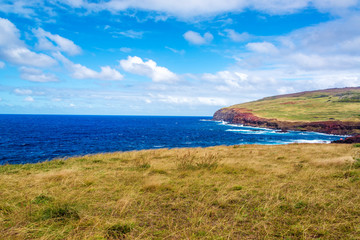 Easter Island Coastal Landscape