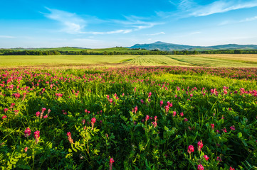 Hills of Tuscany
