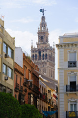 Obraz premium Old city and the cathedral in Sevilla, Spain