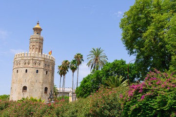 Fototapeta na wymiar The Torre del Oro in Sevilla, Spain