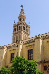 Fototapeta premium The cathedral in Sevilla, Spain