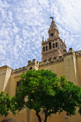 Fototapeta na wymiar The cathedral in Sevilla, Spain