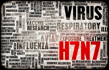 H7N7