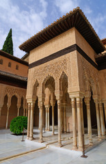 Obraz premium Leones at the Palacio de la Alhambra in Granada, Spain