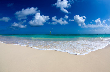 Fototapeta premium sea