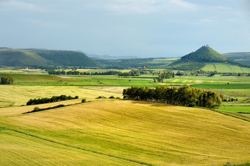 Scenic landscape of a yellow and green meadow