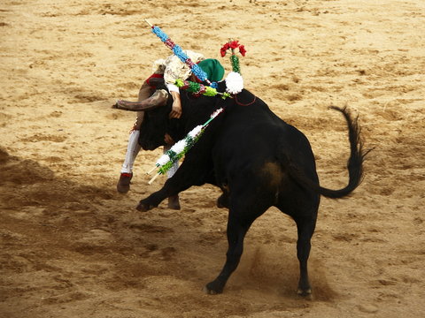 Torada, Tourada, Corrida