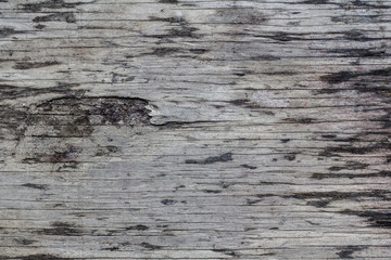 Wood Texture Background