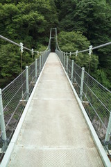 Obraz premium 新緑の天竜峡とつつじ橋