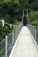 新緑の天竜峡とつつじ橋