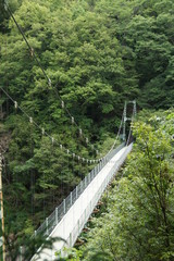 Fototapeta premium 天竜峡のつり橋 つつじ橋
