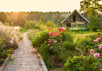 road in the beautiful garden 