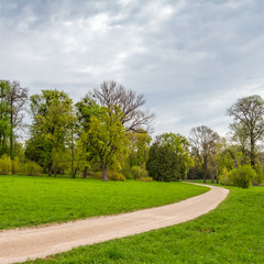 Empty road in the summer forest or park