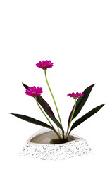 Ikebana vor weißem Hintergrund