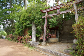 天竜峡の小さなお稲荷様　伏見田尻稲荷