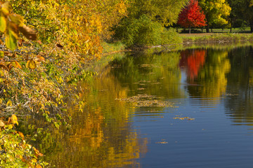 Fototapeta premium Lake Winona Autumn