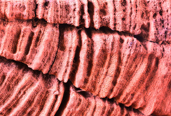 Old wooden background