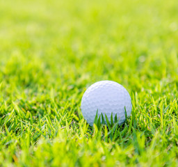Golf ball on green grass