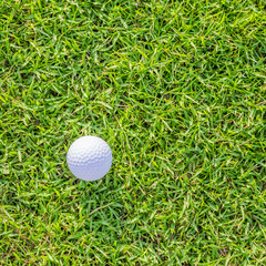 Golf ball on green grass