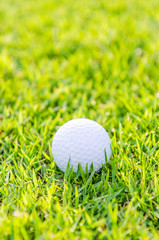 Golf ball on green grass
