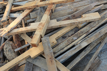 Pile of old wood sticks