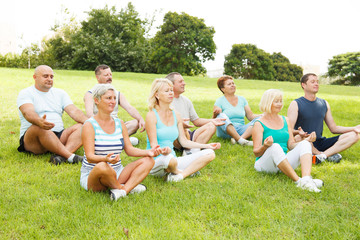 Fototapeta premium Group of People practicing yoga
