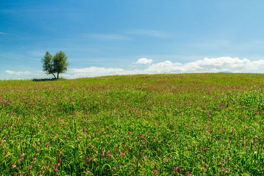 Hills of Tuscany