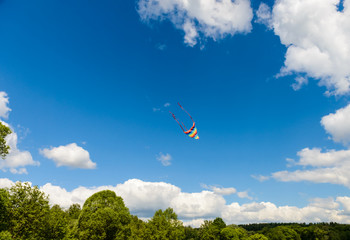 colorful kite