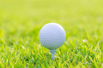 Golf ball on green grass