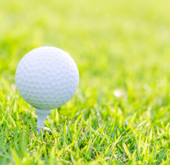 Golf ball on green grass