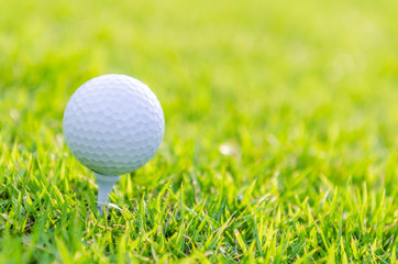 Golf ball on green grass