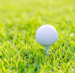 Golf ball on green grass