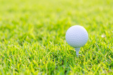 Golf ball on green grass
