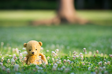 TEDDY BEAR brown color with scarf on the grass