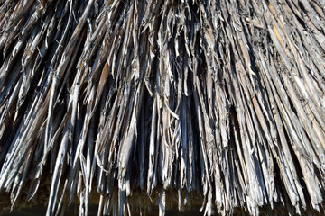 соломенная крыша текстура © dbachinskiy