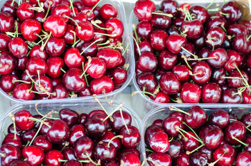 cherries on a desk of a market in italy