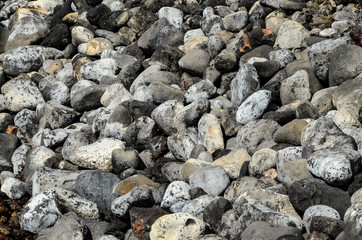 Round Stones Texture
