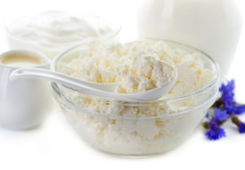 Dairy Products. Milk, cream, sour cream and cottage cheese