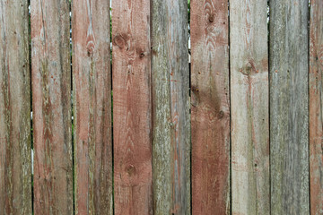 Fototapeta premium palisade