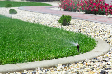 Sprinklers watering grass - obrazy, fototapety, plakaty