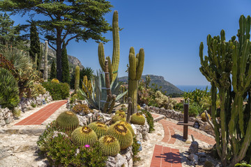 Eze-Village, France. Exotic garden
