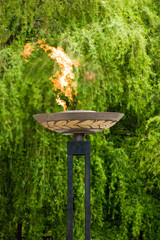 Вечный огонь на фоне весенней листвы