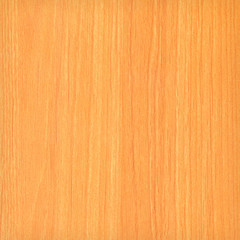 Texture of wood background closeup