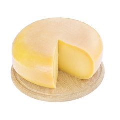 a cheese