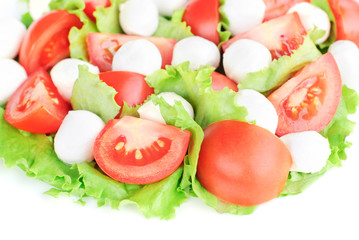 fresh vegetable salad with cheese