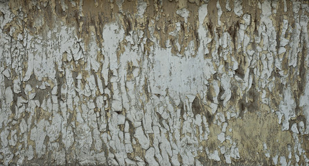 Texture