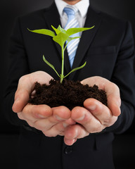 Businessman Holding Sapling Representing Growth