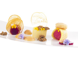 delicious cold dessert combination with sorbet, chocolate, fruits, pastry and oats